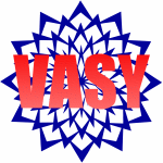 VASY Logo